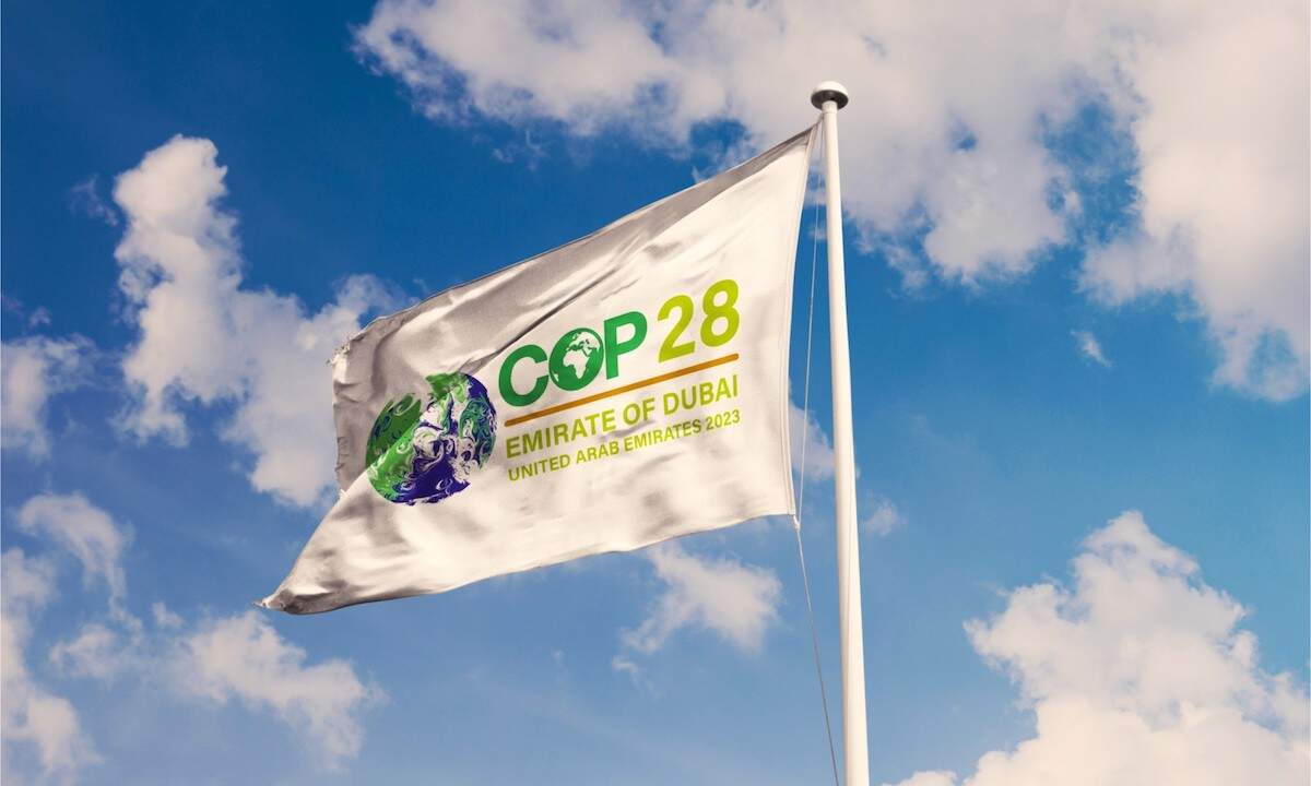 Temores de represión en la COP28 en Emiratos Árabes Unidos